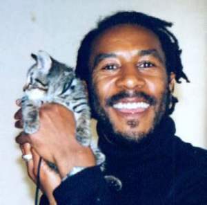 2cats.JPG (29776 bytes)